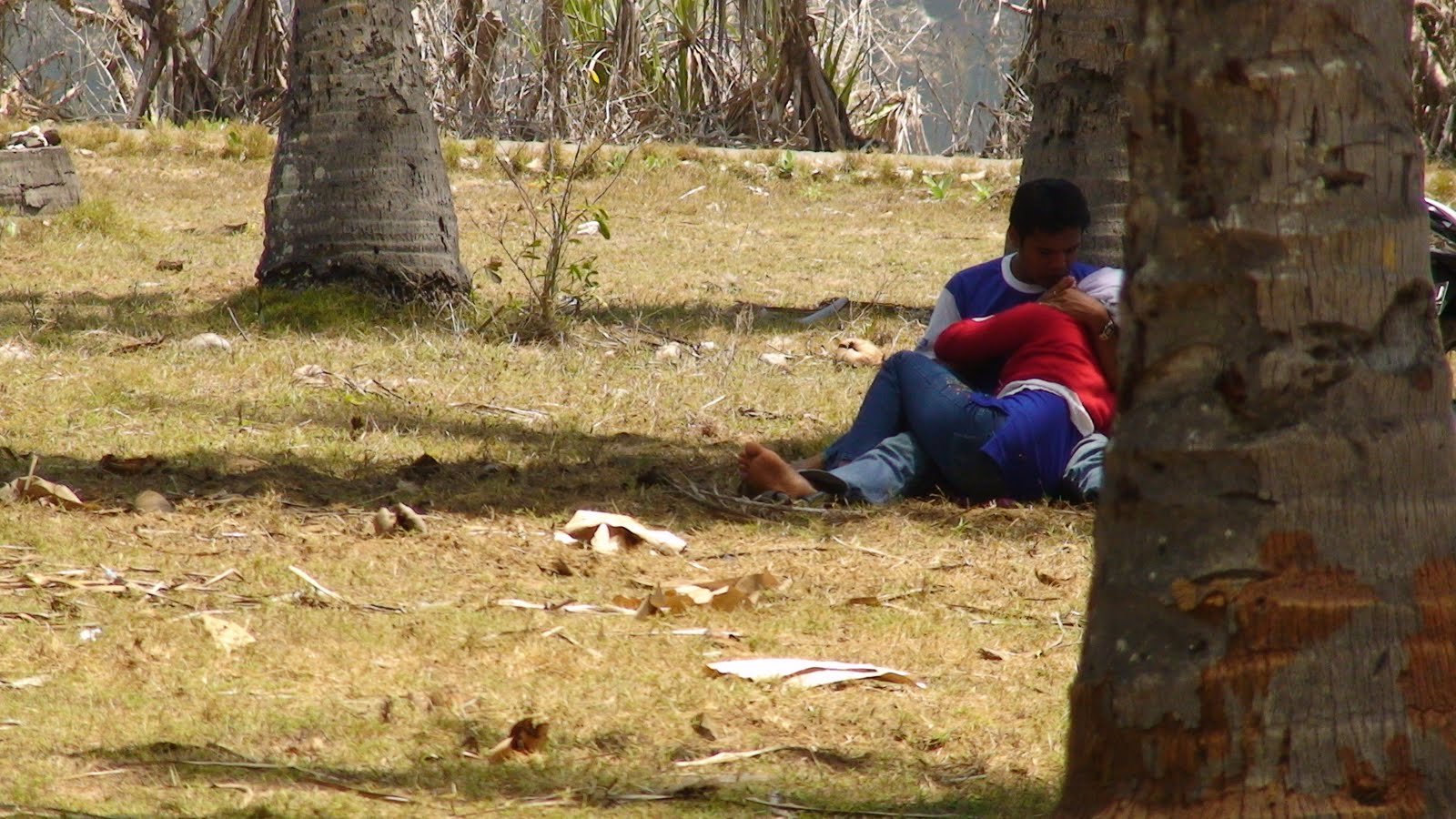 Hijab 2026 Viral Indo Aku Mainin Putingnya Dari Belakang Kebun Sawit Top Global Wikwik 2026